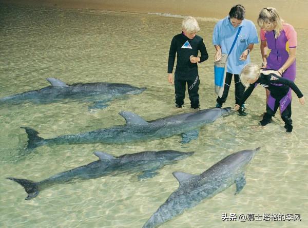 2021年全球最宜居城市排行榜出爐,澳洲獨佔4席,瑞士日本各佔2席 2021年全球最宜居城市排行榜出爐,澳洲獨佔4席,瑞士日本各佔2席