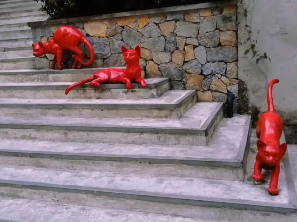 奔著體驗汽車影院而去，沒想到被周圍免費的環境吸引到了