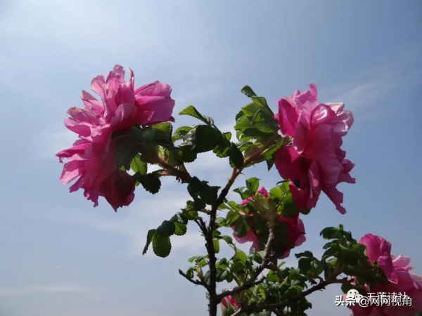 賀神州十三號升空（總第917期）