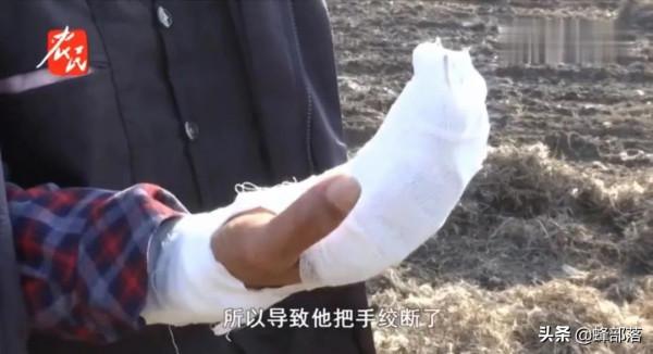 繼“偷菜團”後又出花生“撿拾團”，這次更橫，揚言報警也不怕