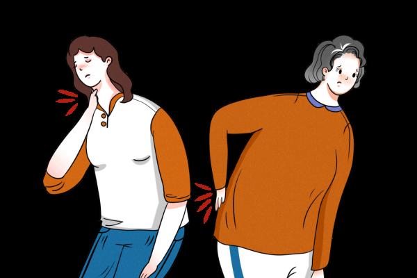 一文讀懂健康骨骼核心資訊 一文讀懂健康骨骼核心資訊