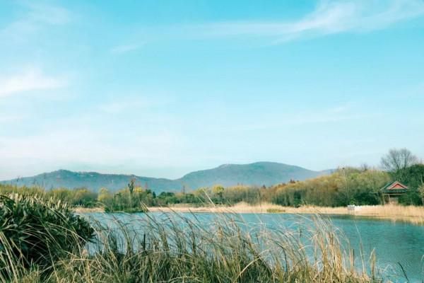 30首經典勵志詩詞，失落時讀一讀，總有一首點燃你的鬥志