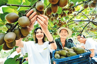 希望的田野 豐收的中國