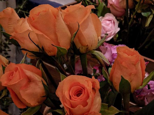 看似溫柔,實則內心很理性的星座,他們的邏輯很好,擅長以理服人 看似溫柔,實則內心很理性的星座,他們的邏輯很好,擅長以理服人