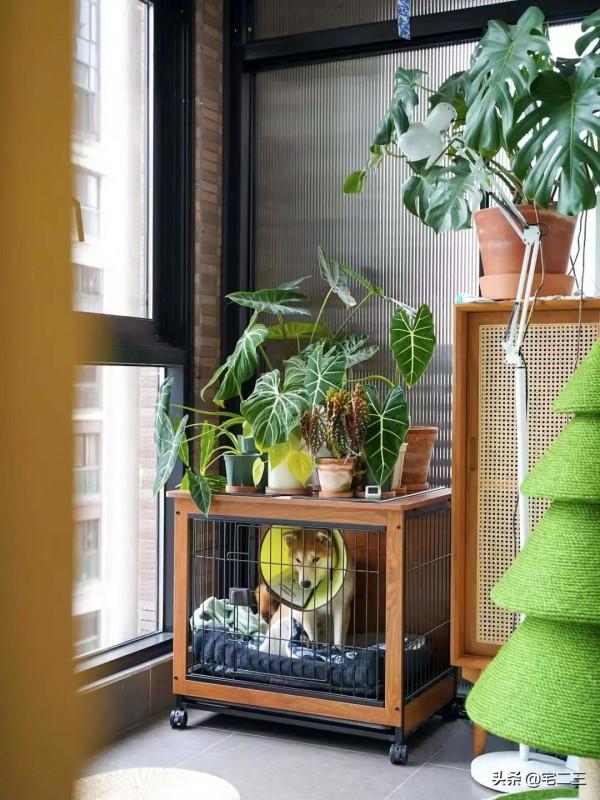 恐婚？不存在的，95後小紅書博主打造焦糖色的&OpenCurlyDoubleQuote;四口之家&rdquo;