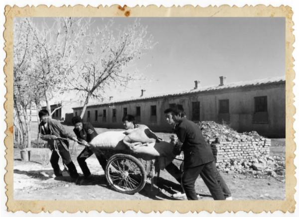 團場的房子 團場的房子