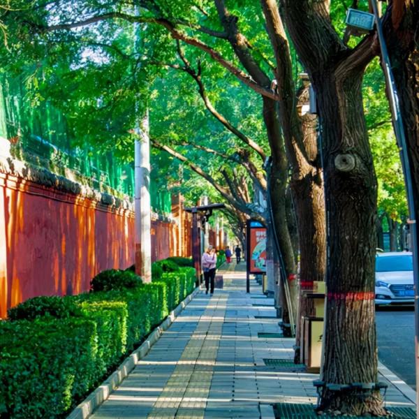 【網路中國節 · 中秋】“雙節”來正定千萬不要玩手機