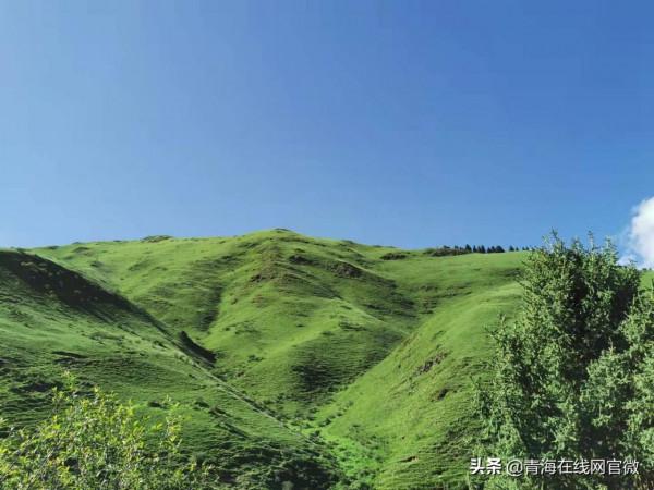 第一！青海三江源國家公園到底有多美「圖」