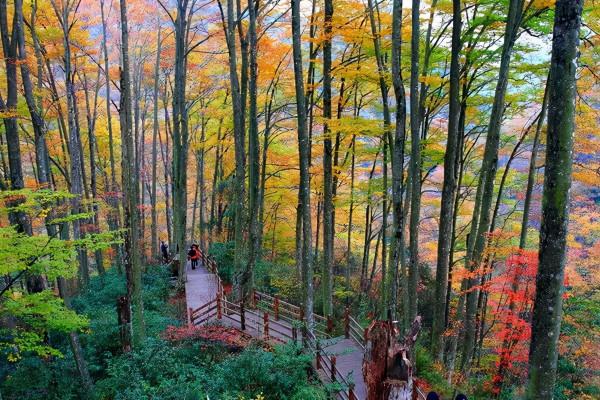 11月，國內這9個絕美山水之地，美成了一幅畫！隨手一拍都是桌布