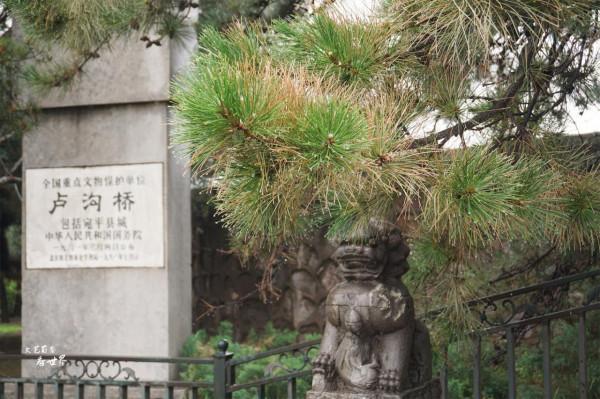 北京盧溝橋上的石獅子不會自己跑了,為何數不清有多少隻? 北京盧溝橋上的石獅子不會自己跑了,為何數不清有多少隻?