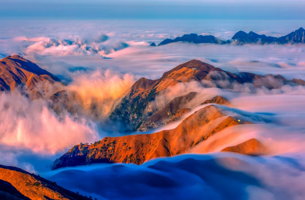 官宣清零！出遊有望！搭上12月末班車，去看看古楓成林的浪漫秋色