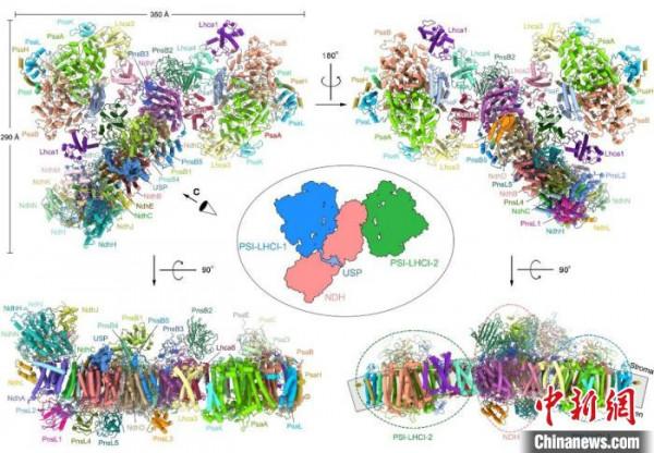 中國科學家光合作用基礎研究獲重大突破 首次解析大麥關鍵結構