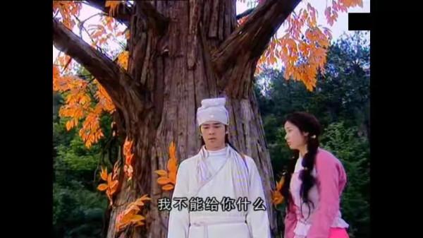 看《天外飛仙》才發現：人與仙相戀，對於父母、家族就是場大災難