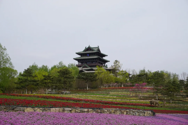 京城這個爆火的4A級景區，你打卡了嗎？快收下這份經典路線攻略，跟著走就行！