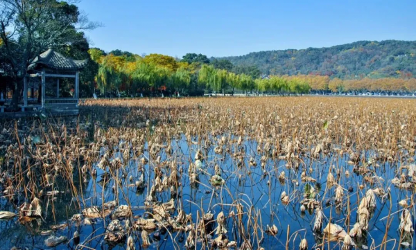 2022的願望：旅行自由！我想去這15個地方，不負心中所愛