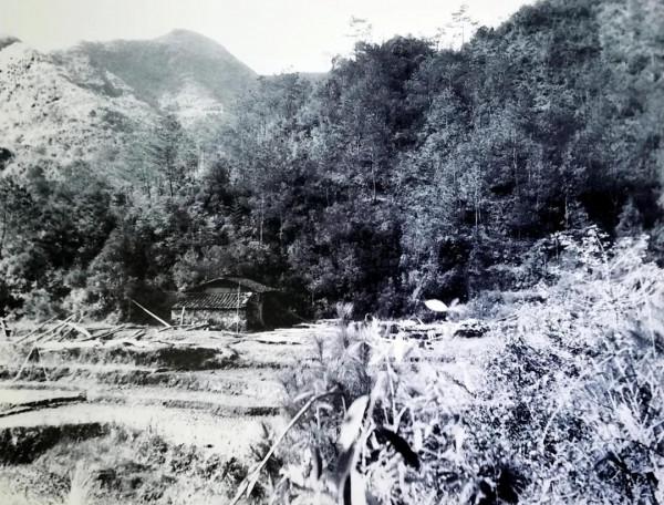 劉英與泰順的革命情緣，閩浙邊三年游擊戰爭彪炳史冊