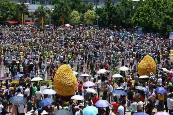 順著中老鐵路，一年四季都有好玩的地方