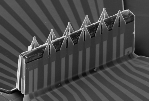 華人科學家開發的柔性電子感測器陣列，可監測心肌細胞異常，方便醫生診斷