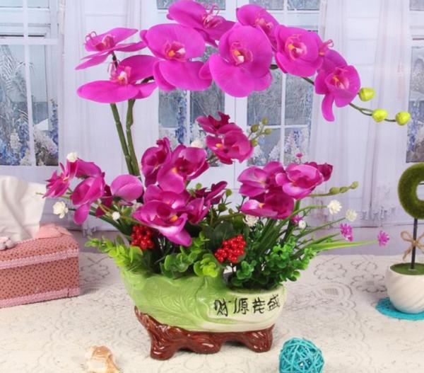 家庭養花，蝴蝶蘭才是秋冬盆栽首選，開花美，打理又省心