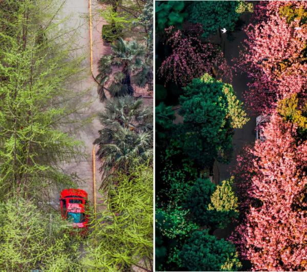高顏值！陝西這所高校位於特大城市，佔地4300畝！網友：風景絕美