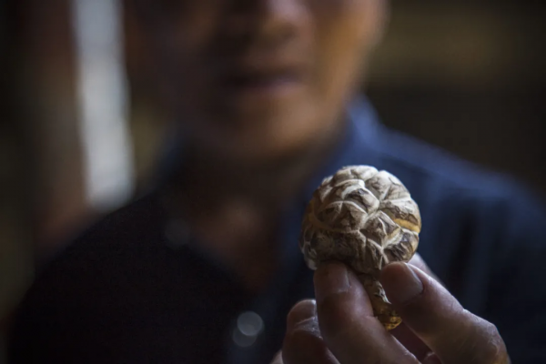 “最不浙江”的浙江小縣城，在哪裡？