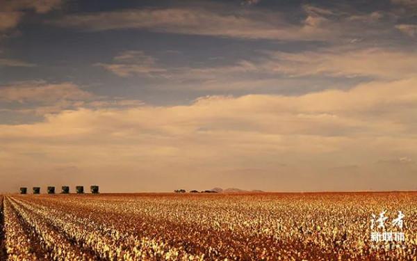 人到中年，最怕電話響起