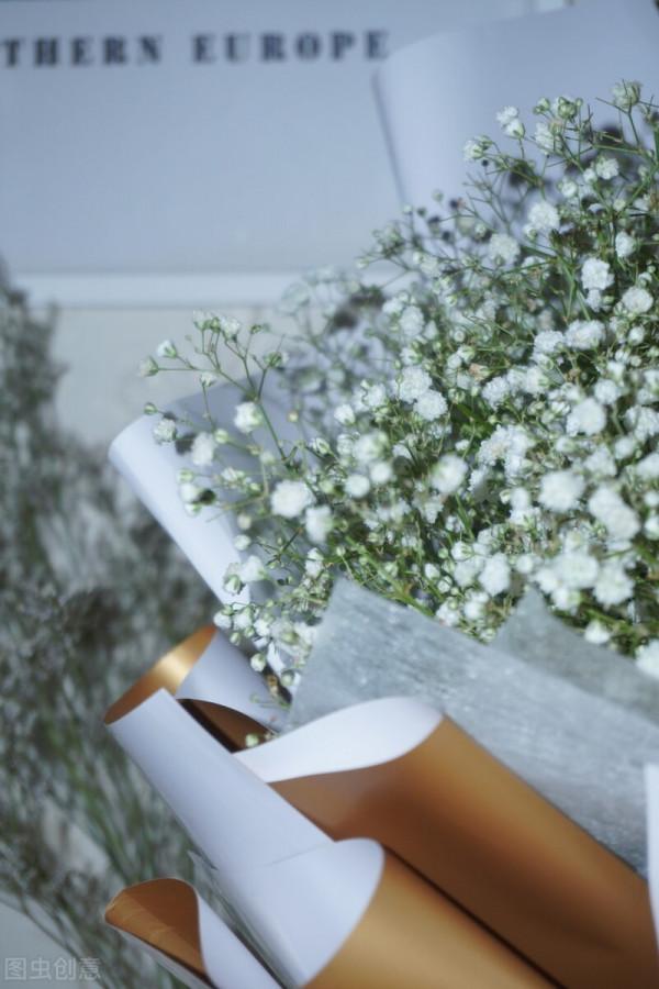 久等了!冬日滿天星技巧,讓你收穫一片花海 久等了!冬日滿天星技巧,讓你收穫一片花海