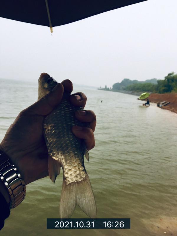 信念如熾,斜風細雨鏖戰團頭湖,周大師分析冬季釣魚技巧 信念如熾,斜風細雨鏖戰團頭湖,周大師分析冬季釣魚技巧