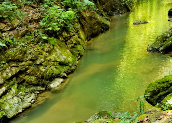 除了飛瀑、峽谷，萬盛黑山谷南天門竟藏有這樣的美景