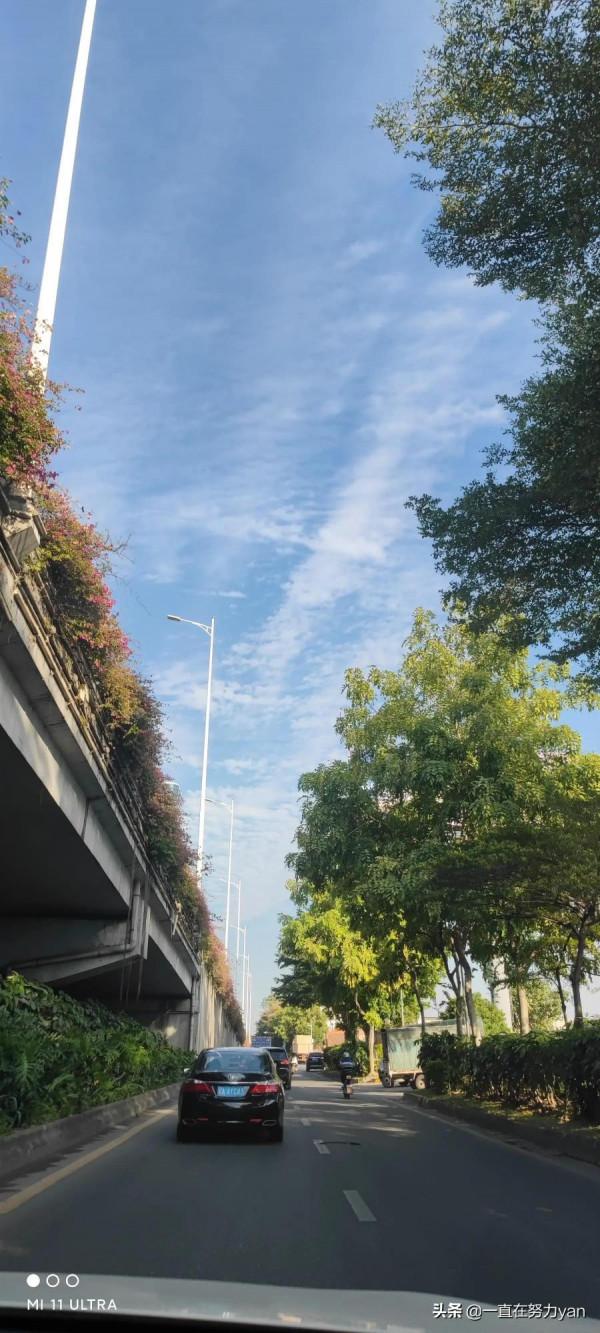 順德漁村漁人碼頭一日遊 順德漁村漁人碼頭一日遊