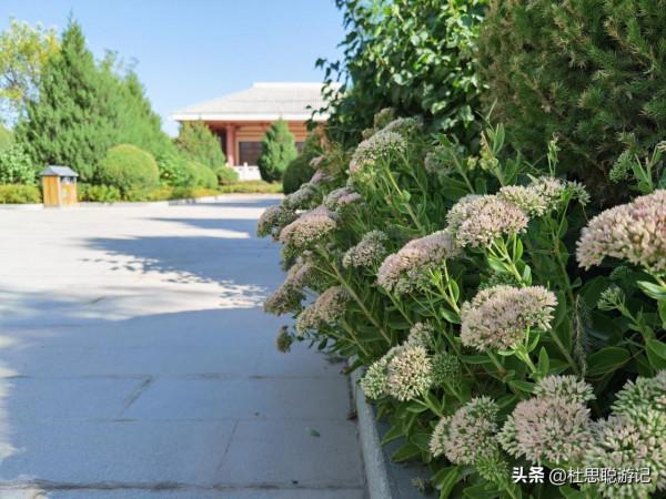 漢EV自駕甘肅，張芝的故鄉瓜州，遊覽草聖故里景區