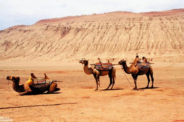 《國家地理》領略自然風光一
