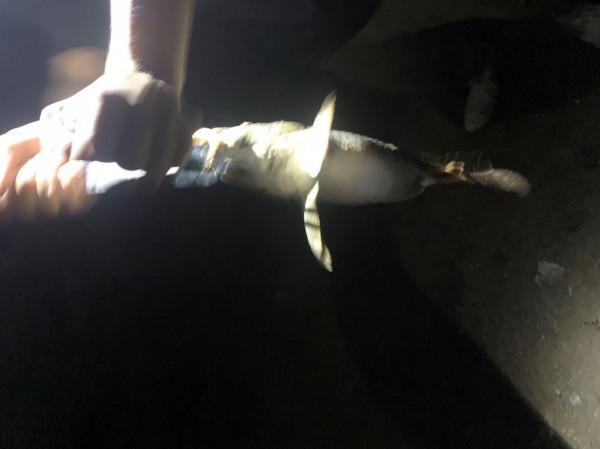 野外路亞夜釣幾個注意要點 野外路亞夜釣幾個注意要點