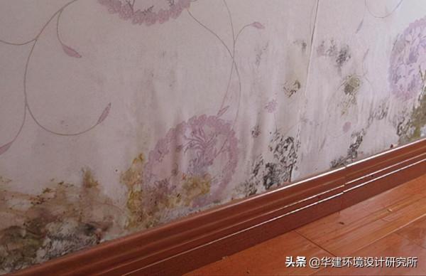 這樣的設計過時了!設計師不要再踩坑 這樣的設計過時了!設計師不要再踩坑