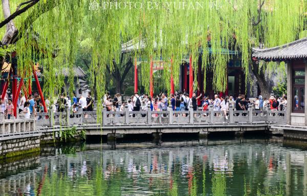 山東真的太“熱”了,讓一群重慶人大感意外,直言比重慶還火 山東真的太“熱”了,讓一群重慶人大感意外,直言比重慶還火