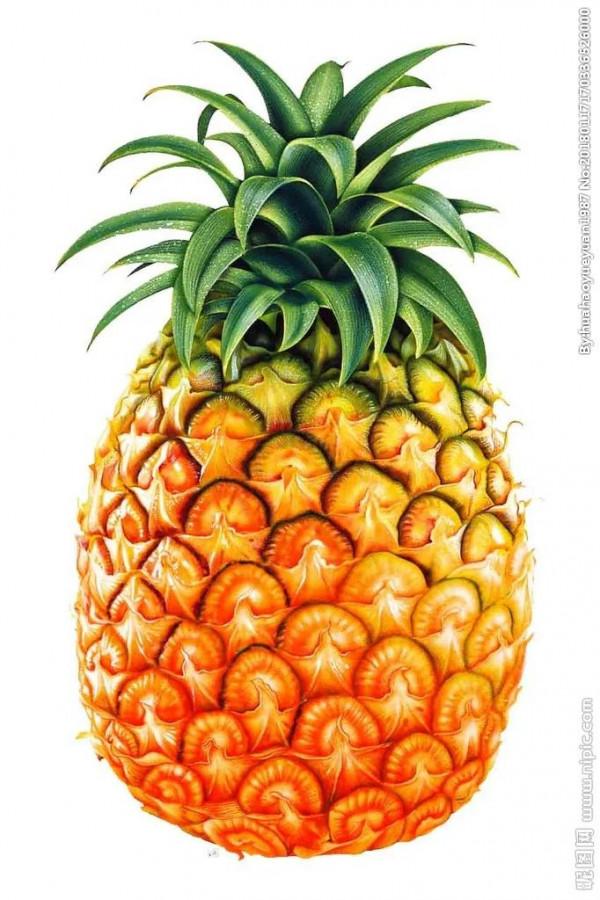 常見的十六種水果品種，你知道了幾種