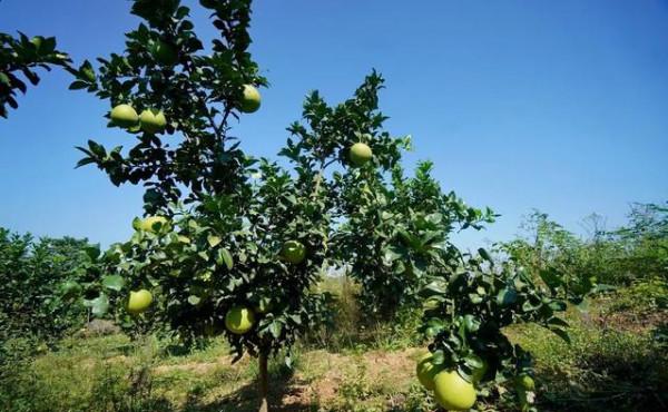 旅行禁忌：一些看似小事但要忌諱，別把自己不當外人