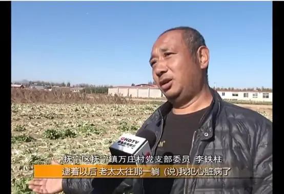 奇葩！蔬菜價格大漲，招引“偷菜團”下鄉，菜農損失慘重，咋回事