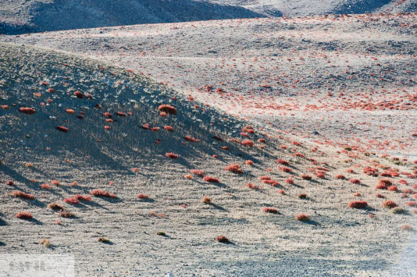 兩個人，一輛車，阿里北線無人區穿越