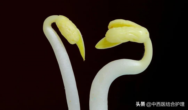 「春季養生」立春後，萬物復甦！中醫：我勸你春天少吃肉和酸寒食物