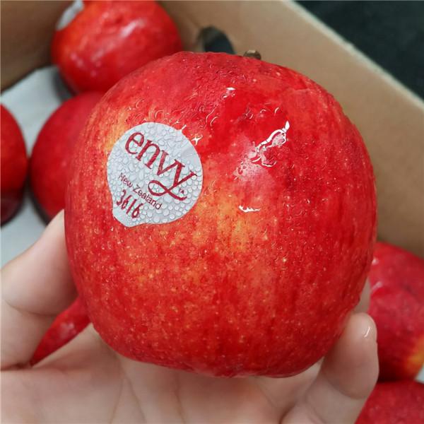 2021年新品種蘋果值得種植的品種推薦 2021年新品種蘋果值得種植的品種推薦