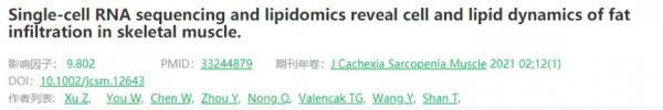 玩轉單細胞測序｜肌肉組織研究思路大揭秘