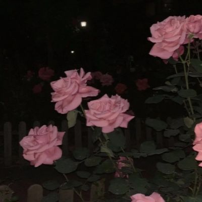 收集網友們覺得意難平的句子
