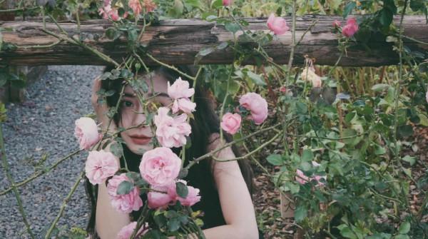 Angelababy最新時尚大片 Angelababy最新時尚大片