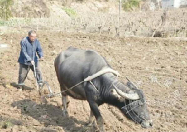 我一生都在操心