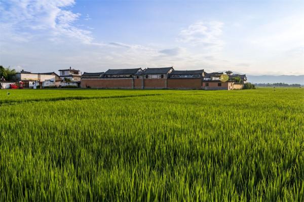 喜洲古鎮，許你一個綠野仙蹤的童話夢境