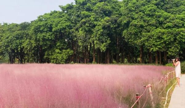 廣東絕美的秋色,都藏在了這4個小眾景點裡 廣東絕美的秋色,都藏在了這4個小眾景點裡