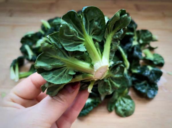 春天多吃這菜,清肝火鎮靜安神,一斤才2塊,中老年人群要多吃 春天多吃這菜,清肝火鎮靜安神,一斤才2塊,中老年人群要多吃