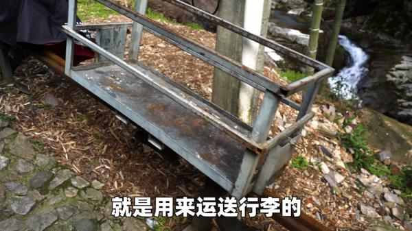 安吉白茶尋源 安吉白茶尋源