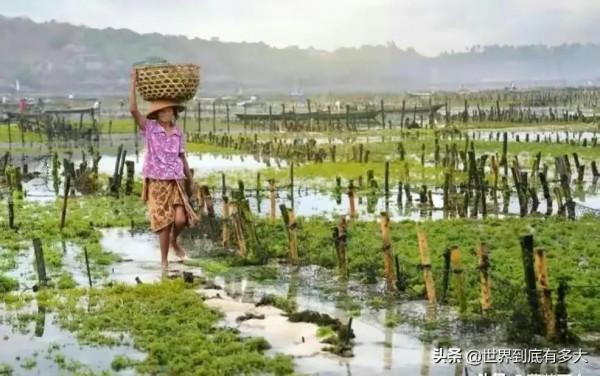 東南亞最大的國家“印尼”冷知識，帶你看看真實的印尼